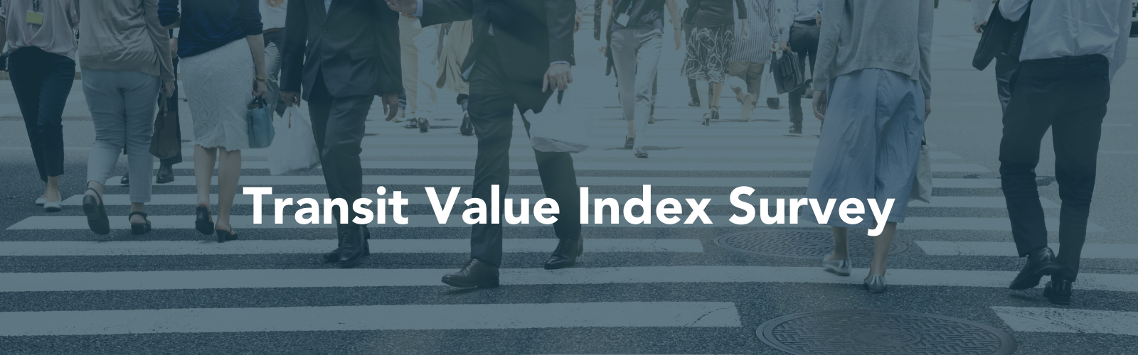 Transit Value Index Survey